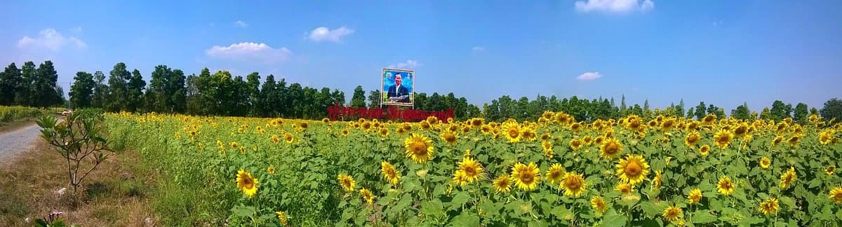 ศูนย์ส่งเสริมและพัฒนาอาชีพ